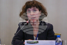 Асоциация на индустриалния капитал в България - форум - Мариана Итева