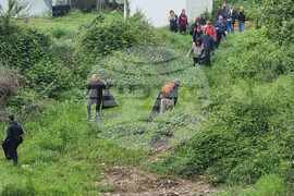 Село Драговищица - почистване - сдружение "Балканка"