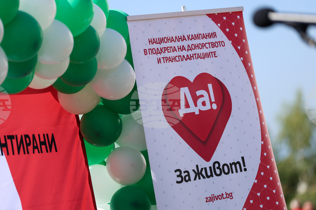 Актьори и спортисти се включват в кампания за подкрепа на донорството
