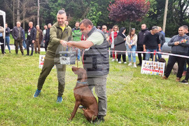 Търговище - киноложка изложба