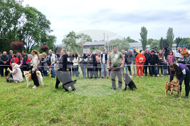 Търговище - киноложка изложба