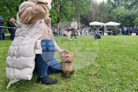 Търговище - киноложка изложба
