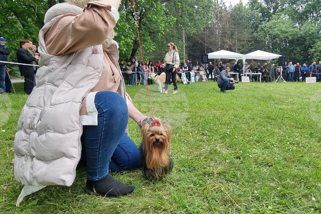 В Търговище започва регистрация за киноложката изложба в рамките на традиционния пролетен панаир 