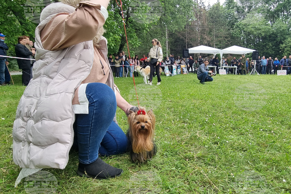 Търговище - киноложка изложба