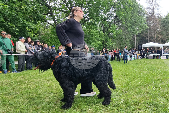 Търговище - киноложка изложба