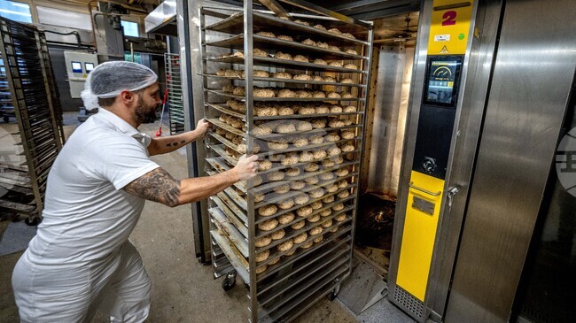 Източногерманците работят по-често по Коледа от западногерманците, сочи проучване