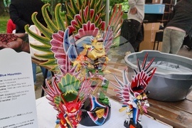  Румъния - Фестивал на азиатската храна