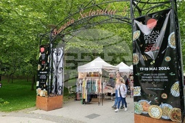  Румъния - Фестивал на азиатската храна