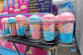  Румъния - Фестивал на азиатската храна