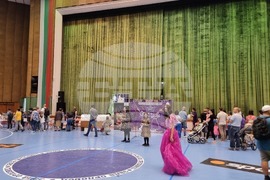 Габрово - Национален карнавал-ревю на котки