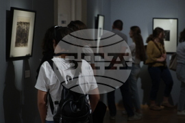 Изложба „Кете Колвиц: Съдба, контекст, позиция“