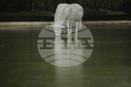 Скулптурна композиция „Водна паша“ - откриване