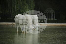 Скулптурна композиция „Водна паша“ - откриване
