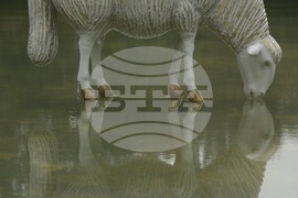 Скулптурна композиция „Водна паша“ - откриване