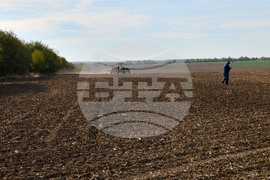 Исперих - сеитба на пшеница