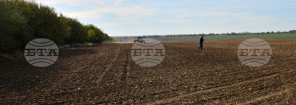 Исперих - сеитба на пшеница