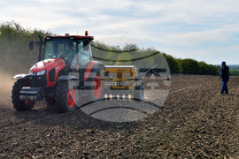 Исперих - сеитба на пшеница