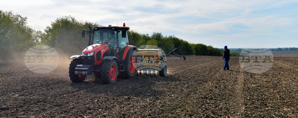 Исперих - сеитба на пшеница
