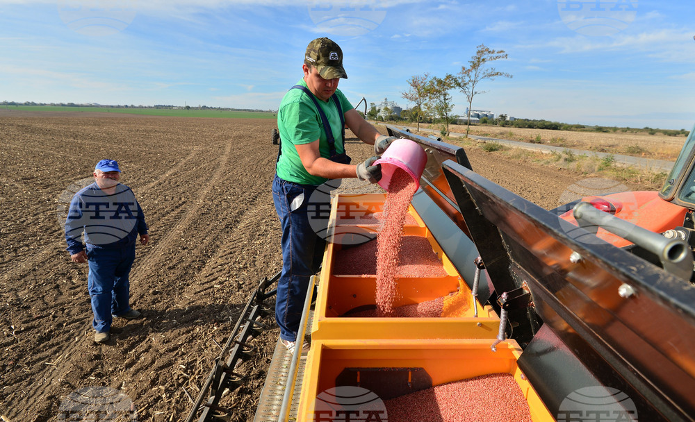 ФАО представи данни за заетостта в хранително-вкусовата промишленост