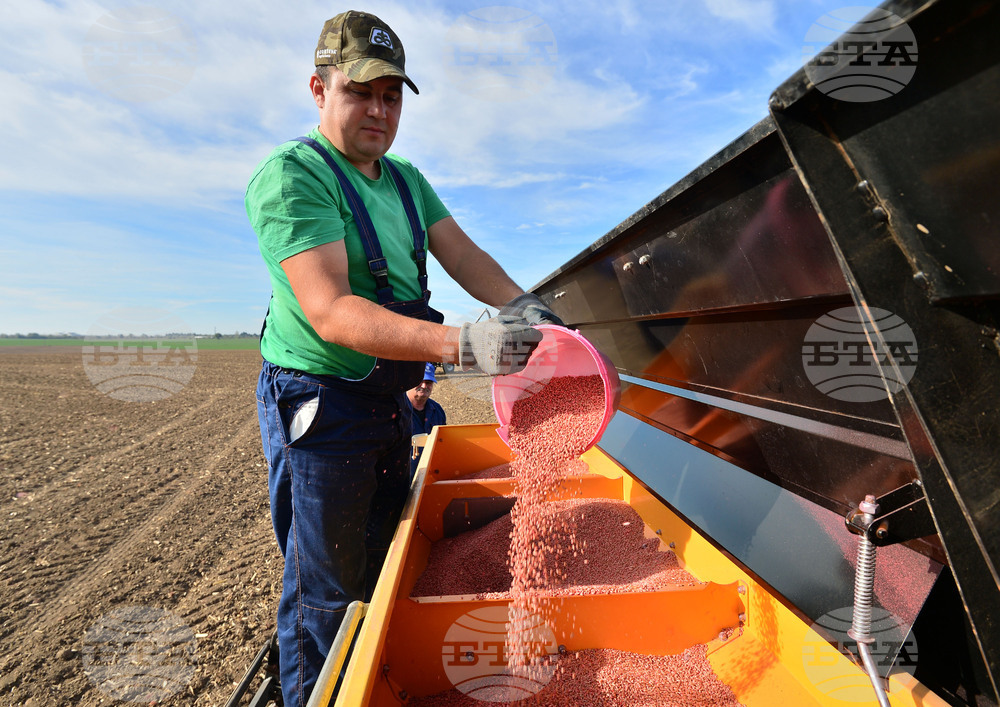 Исперих - сеитба на пшеница