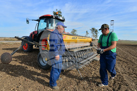 Исперих - сеитба на пшеница