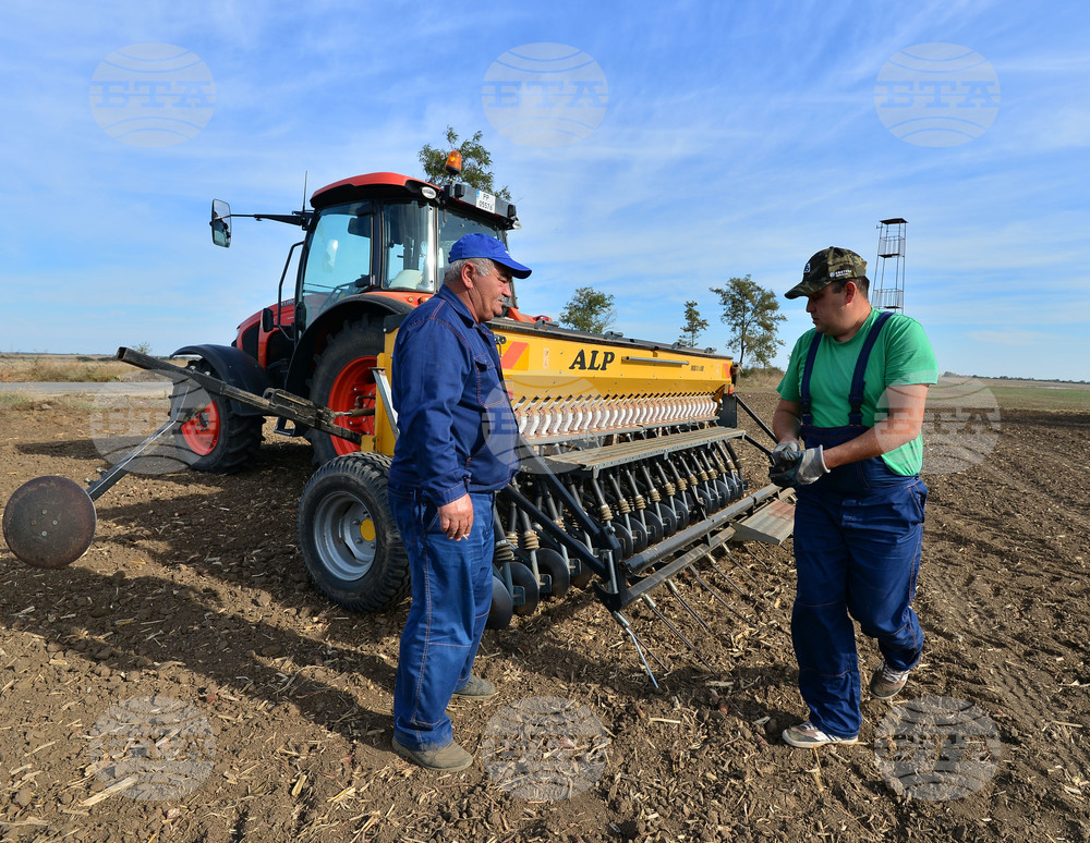 Исперих - сеитба на пшеница