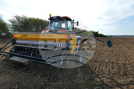 Исперих - сеитба на пшеница