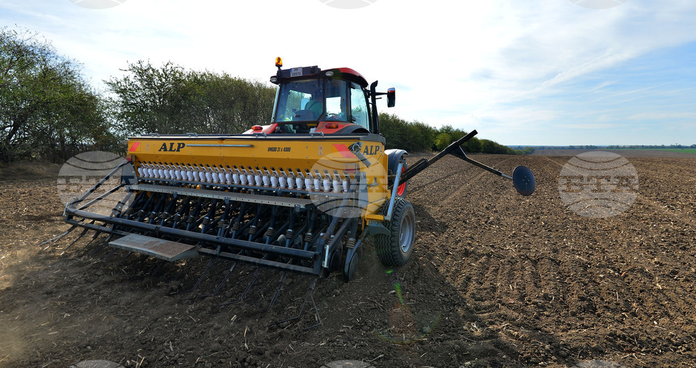 Исперих - сеитба на пшеница