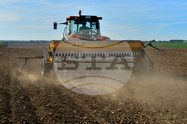 Исперих - сеитба на пшеница