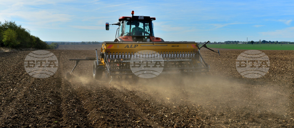 Исперих - сеитба на пшеница