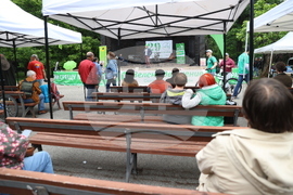 Партия „Зелено движение“ - предизборна кампания