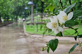  Дъжд - природа