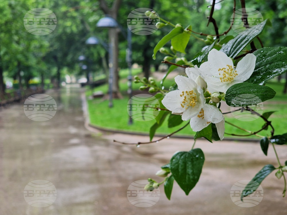  Дъжд - природа