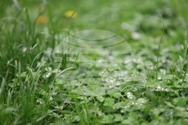  Дъжд - природа