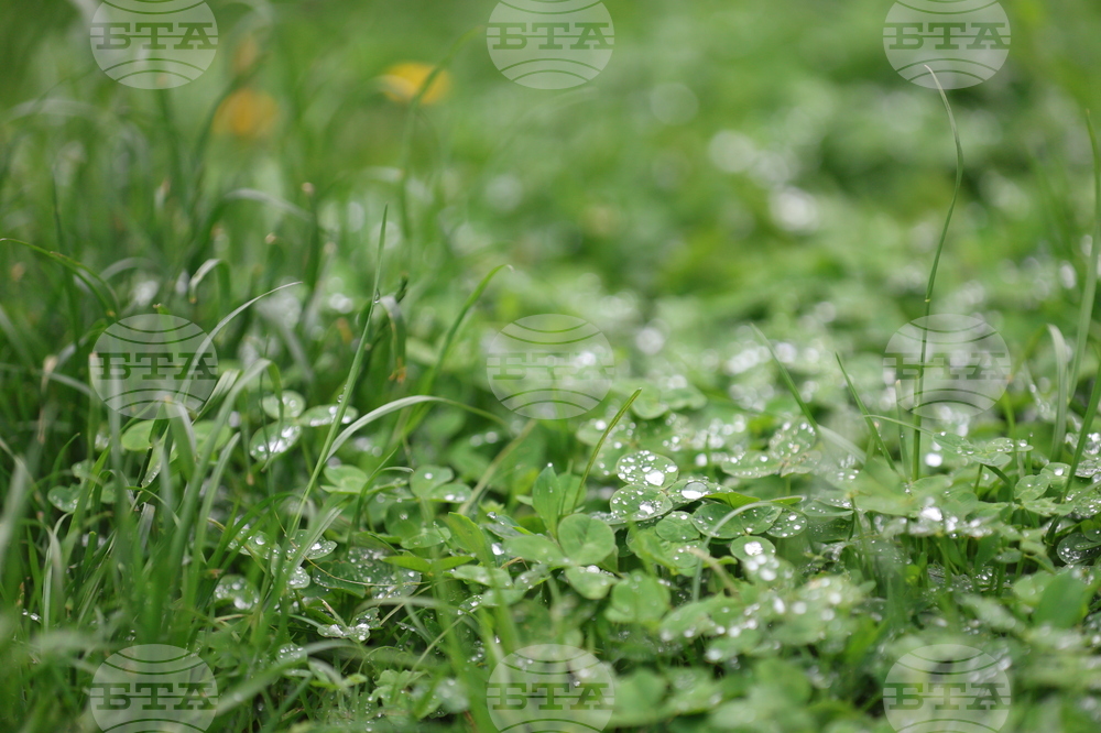  Дъжд - природа