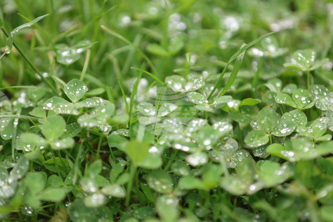 Прогноза за времето