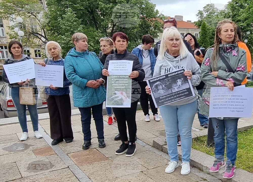 Шумен - протест - насилие над животни
