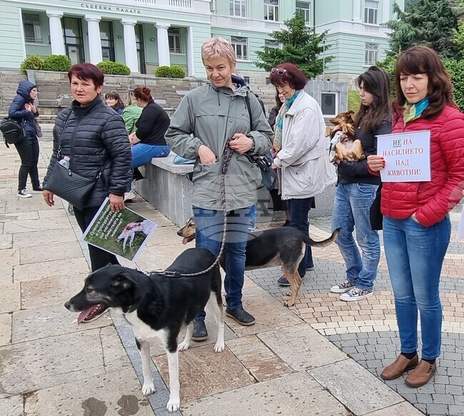 Шумен - протест - насилие над животни