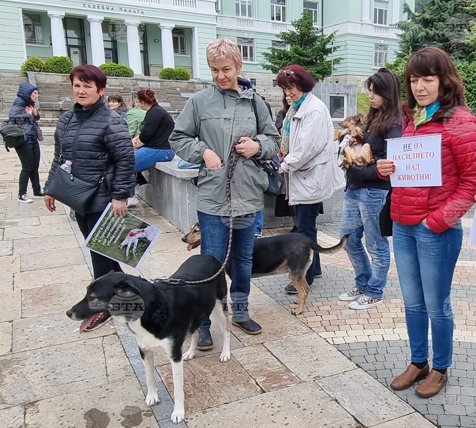 Шумен - протест - насилие над животни