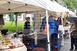 Джебел - празник на града