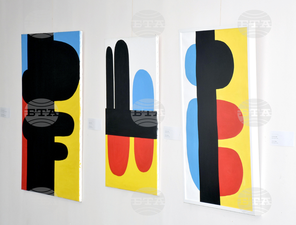 Видин - Международна изложба