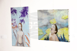 Видин - Международна изложба