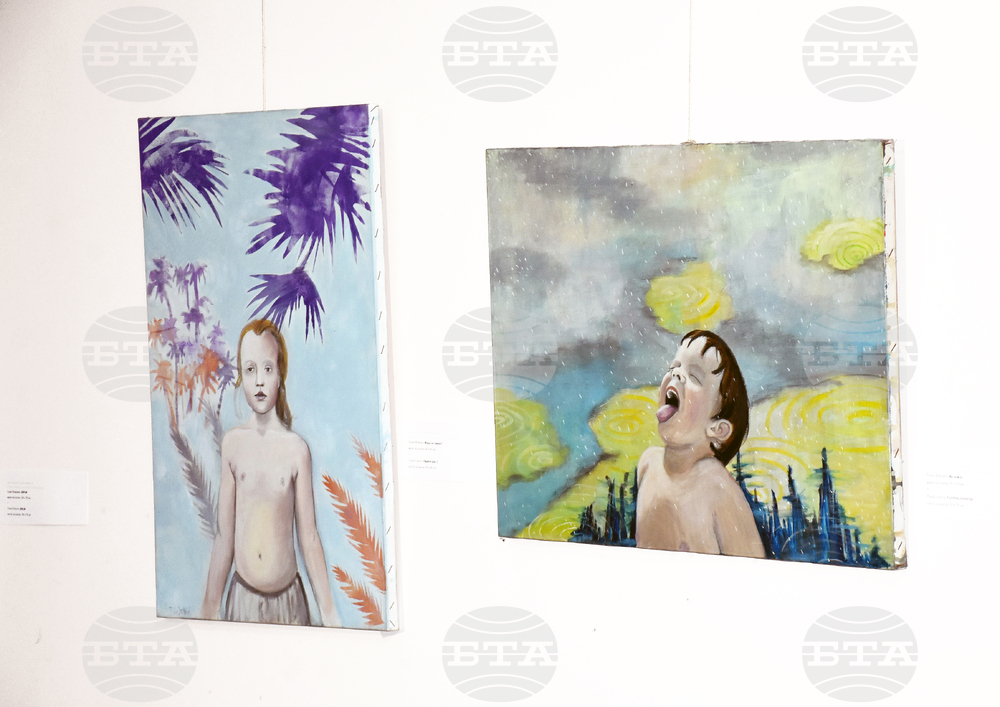 Видин - Международна изложба