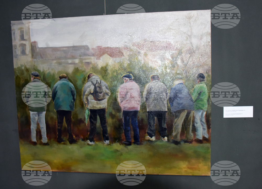 Видин - Международна изложба