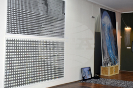 Видин - Международна изложба