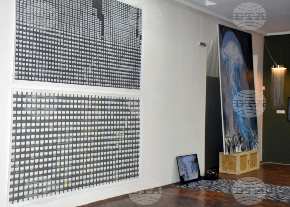 Видин - Международна изложба