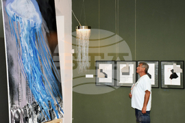 Видин - Международна изложба