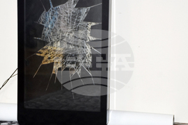 Видин - Международна изложба