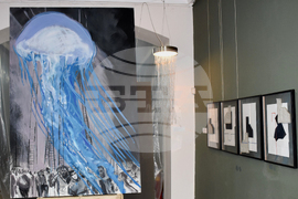 Видин - Международна изложба