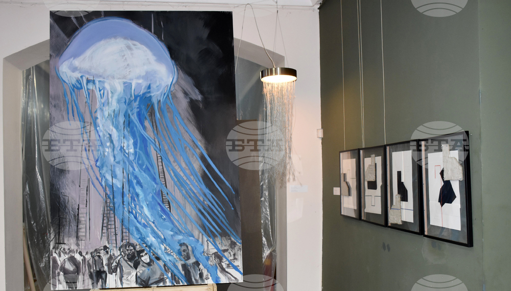 Видин - Международна изложба